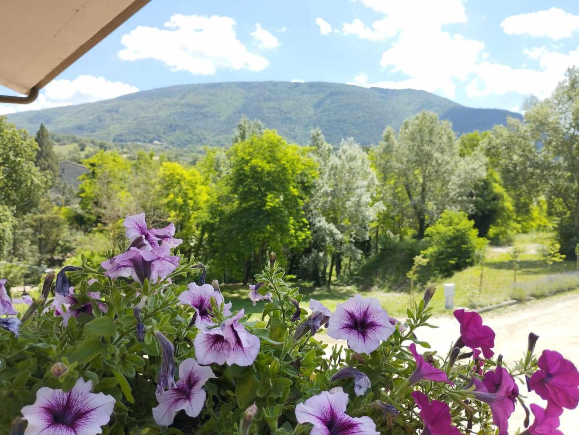 Pianpieve Nature & Relax Apartments Ассізі Екстер'єр фото