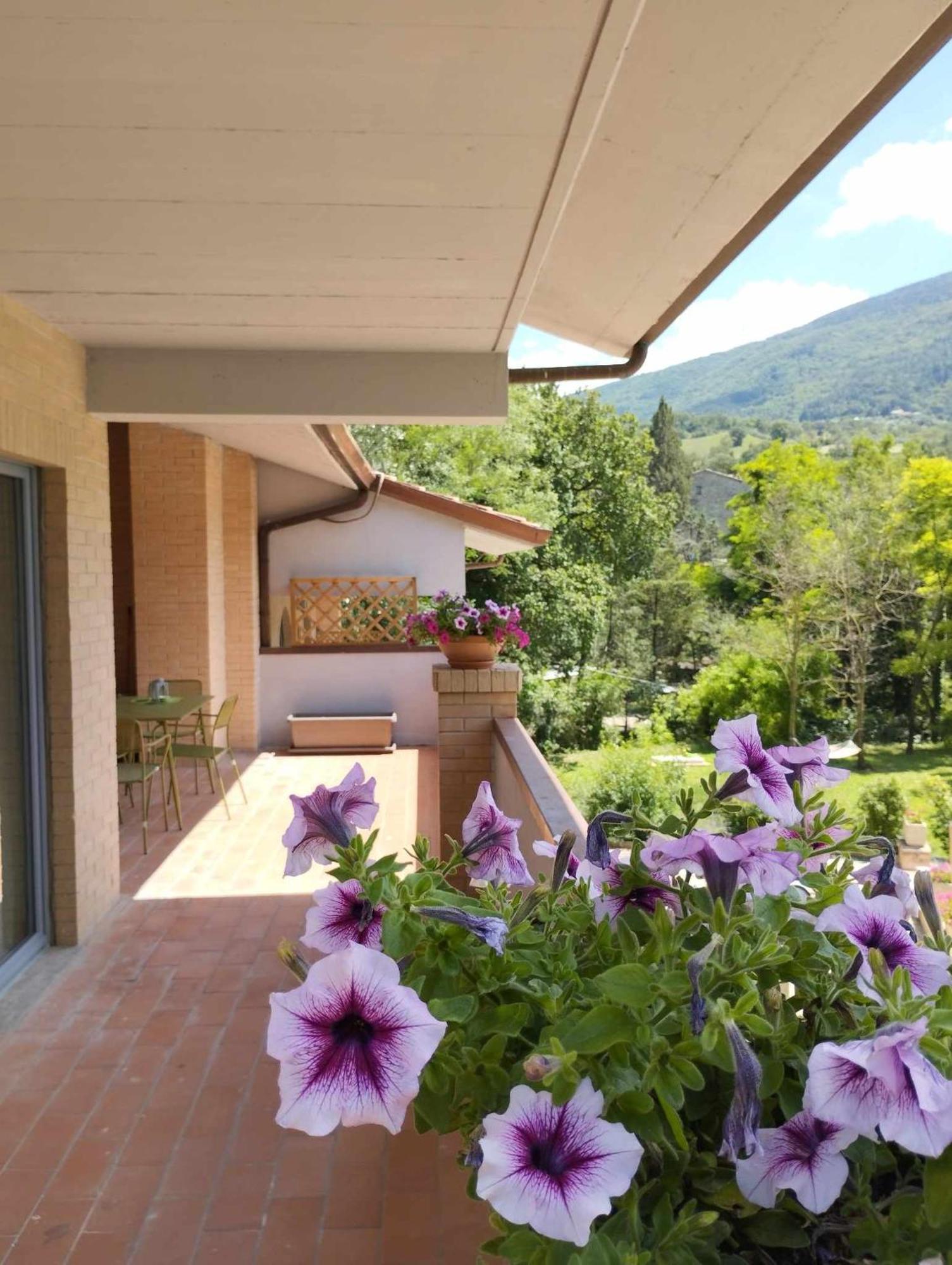 Pianpieve Nature & Relax Apartments Ассізі Екстер'єр фото