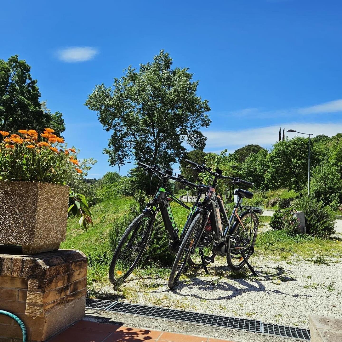 Pianpieve Nature & Relax Apartments Ассізі Екстер'єр фото